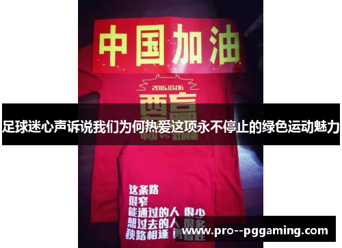 足球迷心声诉说我们为何热爱这项永不停止的绿色运动魅力 足球迷心声诉说我们为何热爱这项永不停止的绿色运动魅力