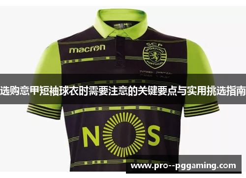 选购意甲短袖球衣时需要注意的关键要点与实用挑选指南 选购意甲短袖球衣时需要注意的关键要点与实用挑选指南