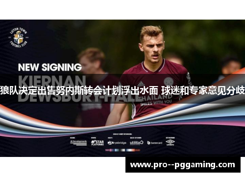 狼队决定出售努内斯转会计划浮出水面 球迷和专家意见分歧