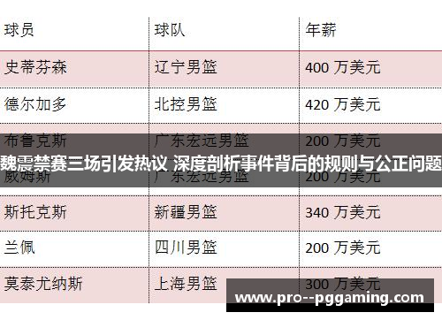 魏震禁赛三场引发热议 深度剖析事件背后的规则与公正问题