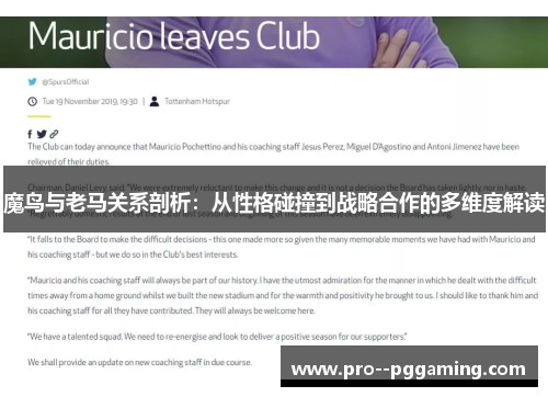 魔鸟与老马关系剖析：从性格碰撞到战略合作的多维度解读